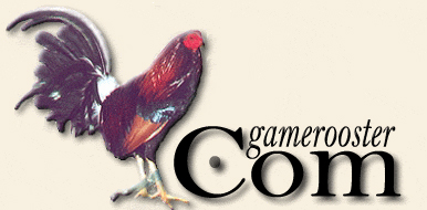 Gamefowl Auction